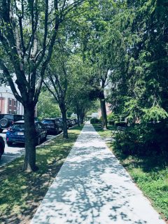 “Perfect almost to a miracle”
-Dr Oliver Wendell Holmes, riding through Lenox mid 19th century
