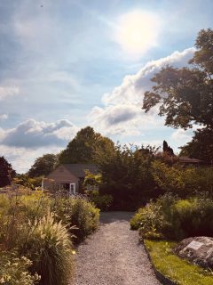 A perfect time of year to visit the Berkshire Botanical Garden! ❤️