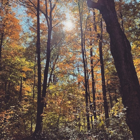 Love the Outdoors? Take the Lenox Open Space and Recreation Plan Survey!

https://www.surveymonkey.com/r/LenoxOSRP

The Town of Lenox is updating its Open Space and Recreation Plan and needs your help!

Your input and opinions will help guide priorities and determine what policy decisions, initiatives, investment strategies, and open space projects will lead Lenox for the coming decade.

 The survey is open through December 1st, 2026. 

 Public forums will be held in the New Year to present the results of the survey and proposed Goals, Objectives, and Actions for the updated plan.

#lovelenox