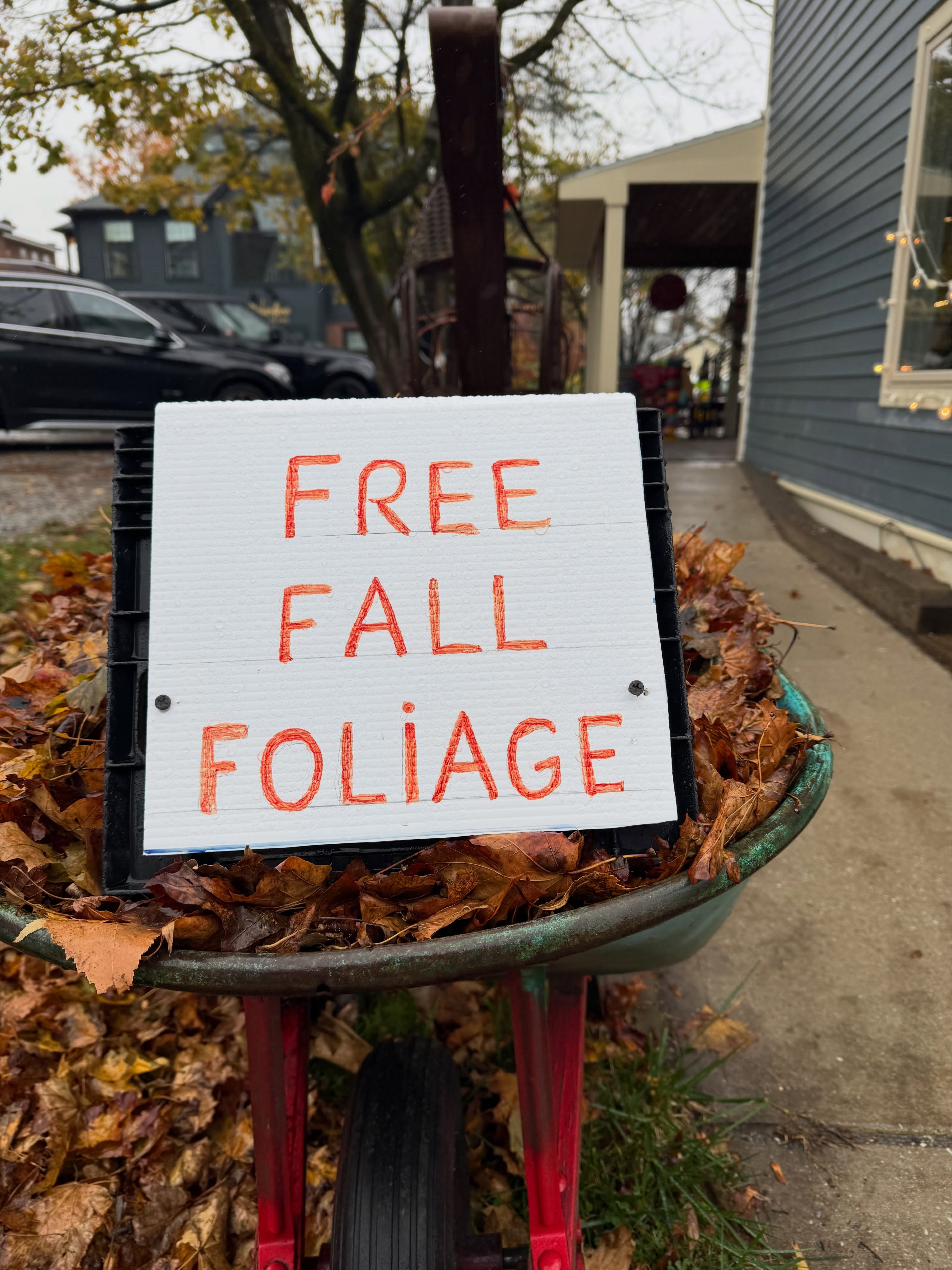 Thanks Tom!
At Tom Fiorini Sculpture on Church Street, Lenox
Hope everyone enjoys the Fall Weekend Ahead ❤️